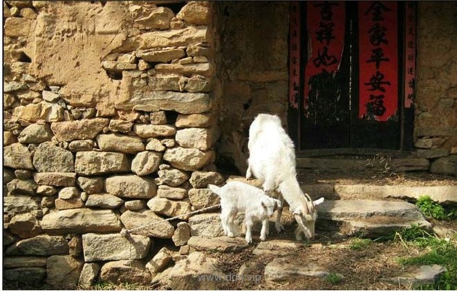 懂懂日记，2013-01-05：一个不会泡妞的男人！