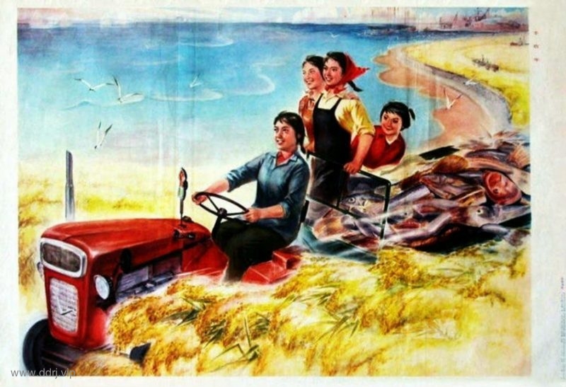 022-7-22，懂懂学习笔记"