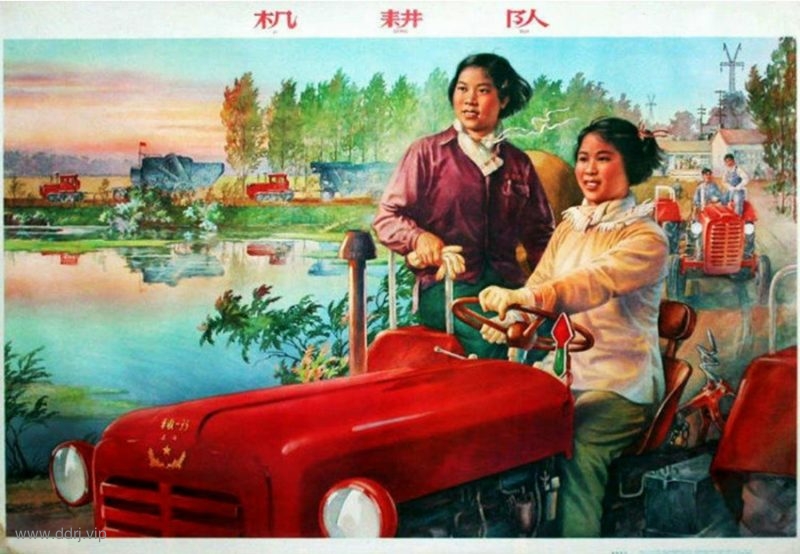 022-7-22，懂懂学习笔记"