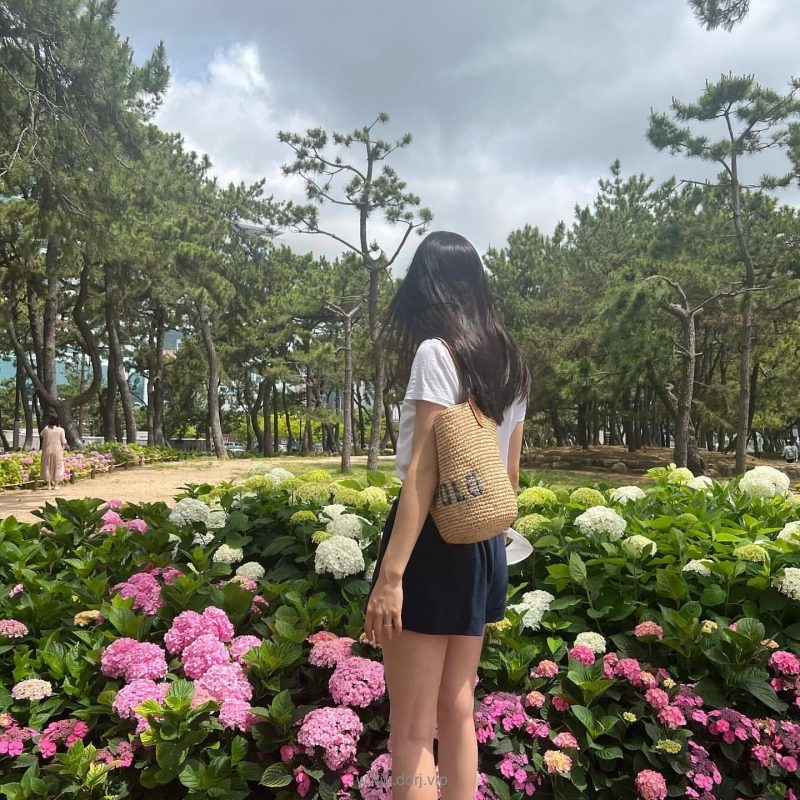 022-8-5，懂懂学习笔记"