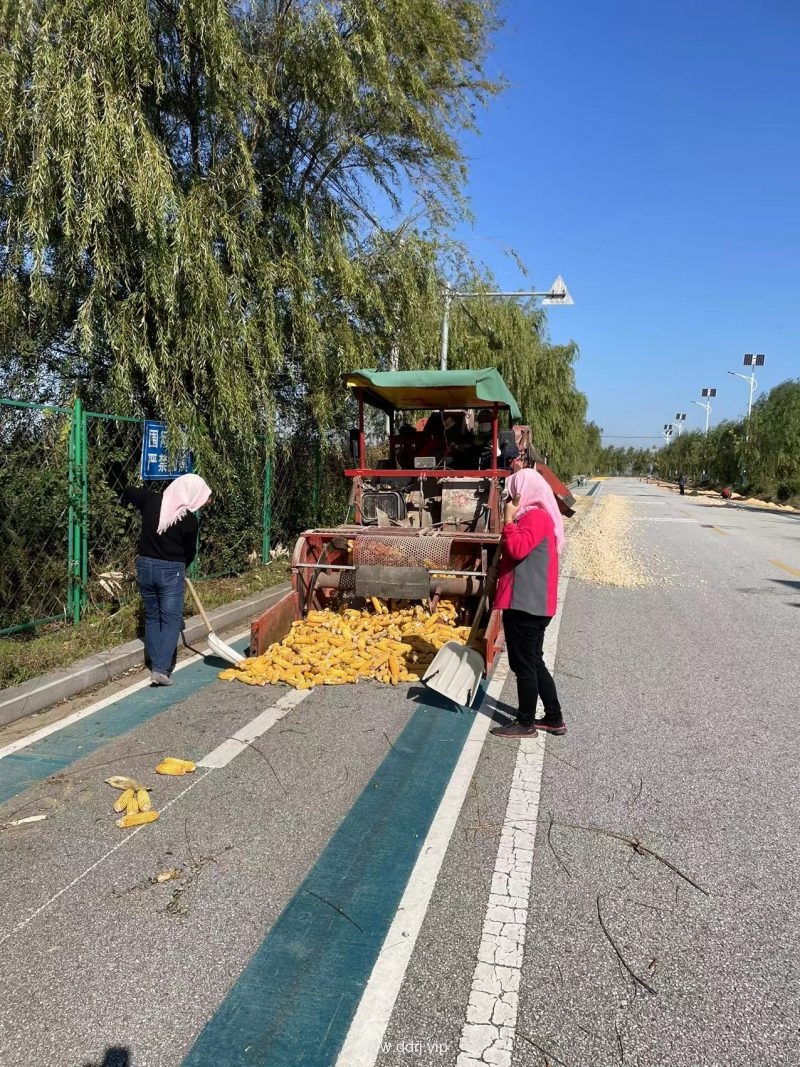 022-10-19，懂懂学习笔记——宁为鸡头不为凤尾"