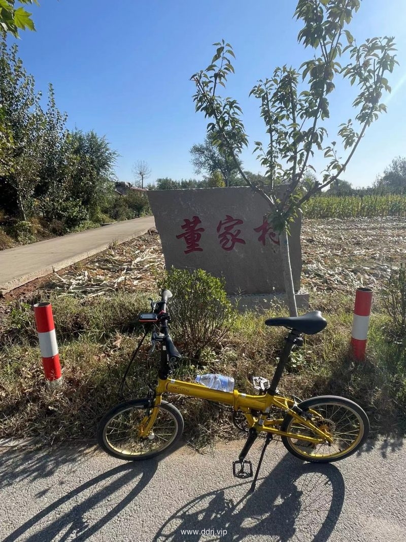 022-10-19，懂懂学习笔记——宁为鸡头不为凤尾"