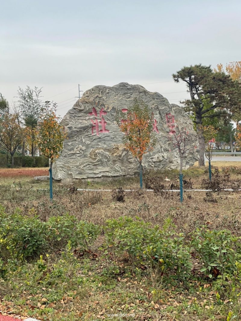 《懂懂骑山东》--菏泽东明县，这篇写的不错