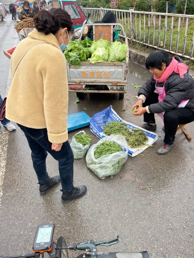 《懂懂骑山东》--菏泽鄄城县