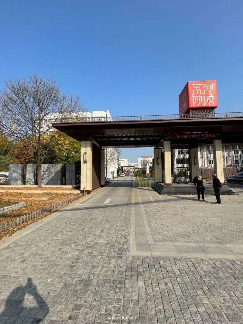 022-11-6，懂懂朋友圈，人呀，萝卜大了就该换个坑"