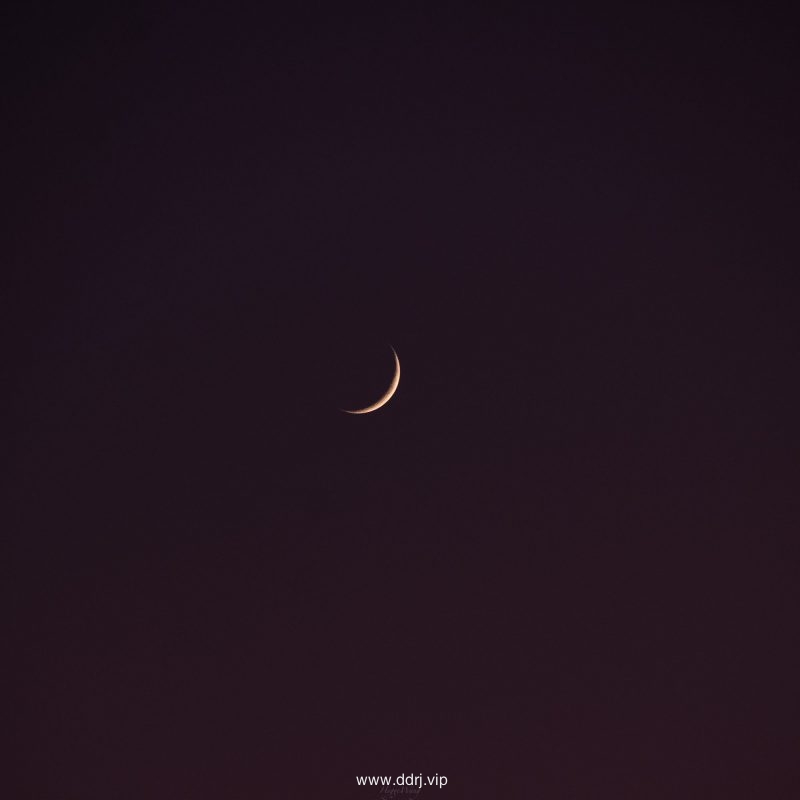022-11-27，懂懂群聊天记录（2）"