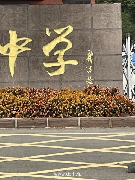 《懂懂骑山东》--枣庄台儿庄区