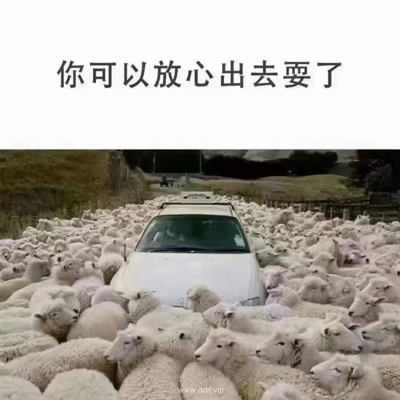 022-12-8，懂懂群聊天记录（1）"