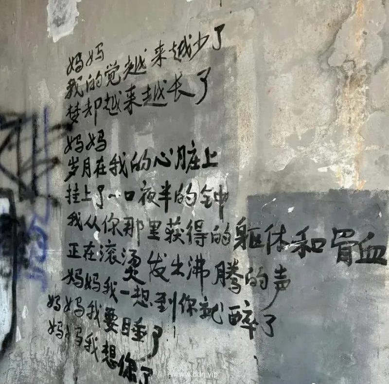 023-8-8，懂懂学习群聊天记录（1）：表达力是很重要的一门功课"