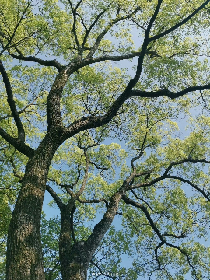 023-8-2，懂懂学习群聊天记录（1）：炫富是一件非常蠢的事，特别是当你真的很富。"