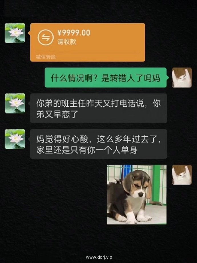 023-12-16，（二）你的一生有三个问题决定了全剧的剧本"