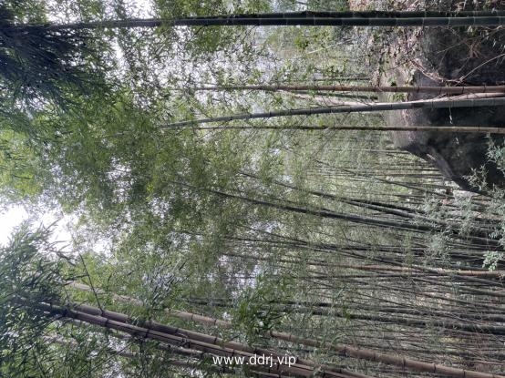 fa4c30838318663a56bd1f3d6d6c0138_2(1