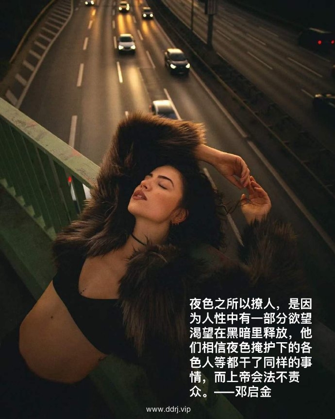 b84e31d0c396705e57a0cc587887b697_
