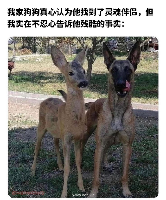 03f11b9bcda7d0a0e44ac82f415834e3_