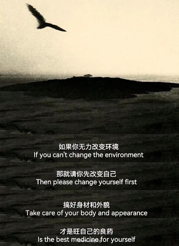 04e64bc2e1d4e1f06b1c2efe3128ed1e_